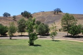 Enlarge photo 34