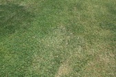 Enlarge photo 41