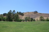 Enlarge photo 40