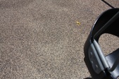 Enlarge photo 55