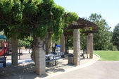 Enlarge photo 57