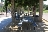 Enlarge photo 58