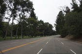 Enlarge photo 40