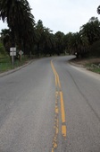 Enlarge photo 41
