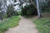Enlarge photo 44