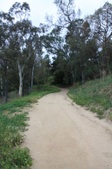 Enlarge photo 46