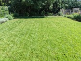 Enlarge photo 31