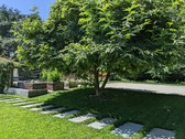 Enlarge photo 36