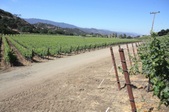 Enlarge photo 18