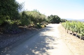 Enlarge photo 29