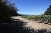 Enlarge photo 30