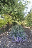 Enlarge photo 31