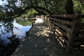 Enlarge photo 33