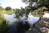 Enlarge photo 34