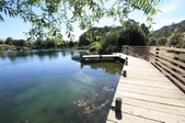 Enlarge photo 36