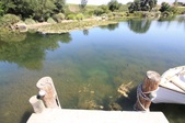 Enlarge photo 42