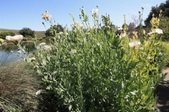 Enlarge photo 44