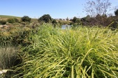 Enlarge photo 45
