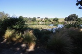 Enlarge photo 46
