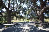 Enlarge photo 51