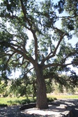 Enlarge photo 52
