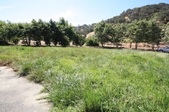 Enlarge photo 61
