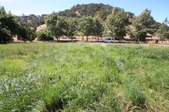 Enlarge photo 62