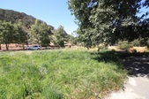 Enlarge photo 63