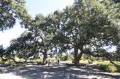 Enlarge photo 64