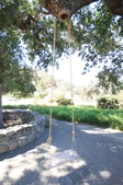 Enlarge photo 65
