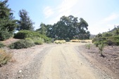 Enlarge photo 68