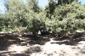 Enlarge photo 69