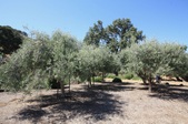 Enlarge photo 84