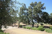Enlarge photo 86