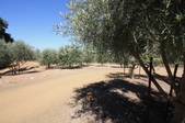 Enlarge photo 87