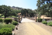 Enlarge photo 88