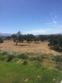 Ranch 06