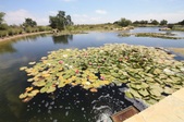Enlarge photo 28