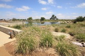 Enlarge photo 31