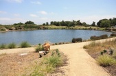 Enlarge photo 33