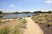 Enlarge photo 34