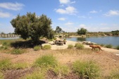 Enlarge photo 35