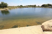 Enlarge photo 39