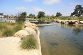 Enlarge photo 42