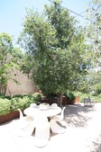 Enlarge photo 51