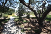 Enlarge photo 56