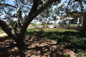 Enlarge photo 57