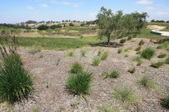Enlarge photo 64