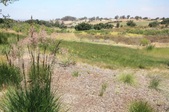 Enlarge photo 65