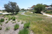 Enlarge photo 66